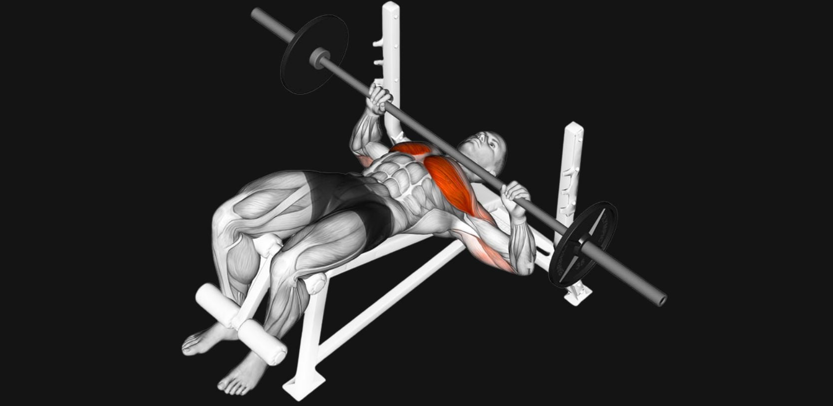 Decline Barbell Bench Press: Sculpting the Lower Chest with Precision & Power