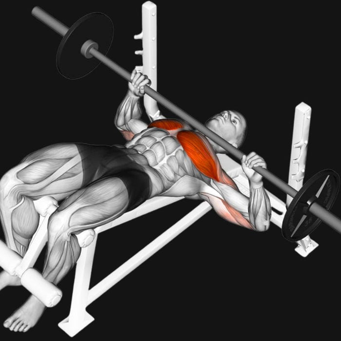 Decline Barbell Bench Press_ Sculpting the Lower Chest with Precision & Power