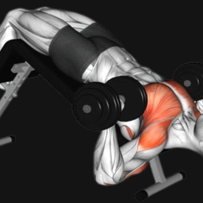 Decline Dumbbell Bench Press_ Build Lower Chest Power & Size