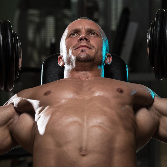 Dumbbell Bench Press Variations_ Maximize Chest, Strength & Stability