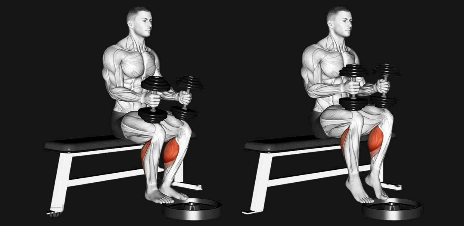 Dumbbell Calf Raises: Build Stronger, Defined Calves Anywhere