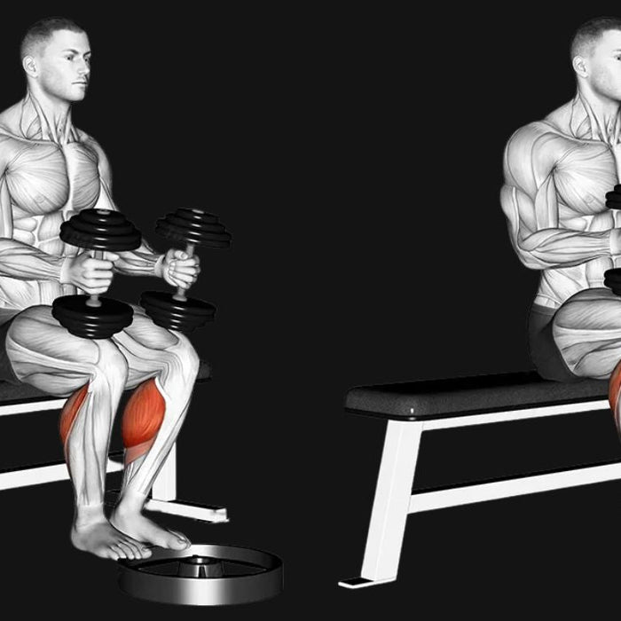 Dumbbell Calf Raises_ Build Stronger, Defined Calves Anywhere
