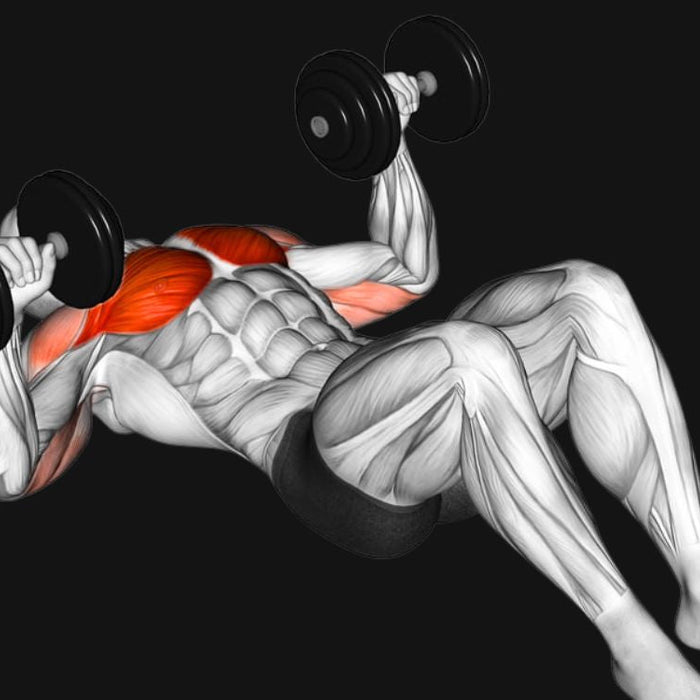 Dumbbell Floor Press_ Press Strong, Protect Your Shoulders