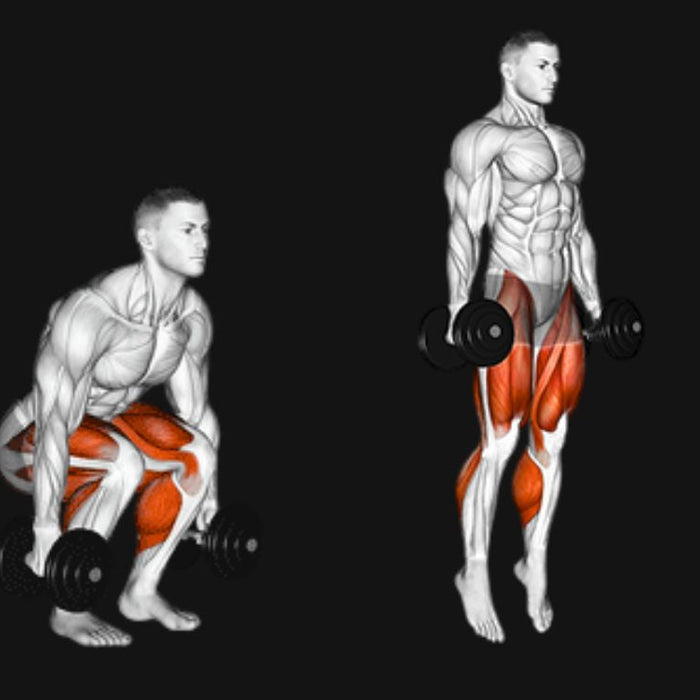 Dumbbell Jump Squat_ Explosive Power, Strength & Vertical Gains Dumbbell Jump Squat_ Explosive Power, Strength & Vertical Gains