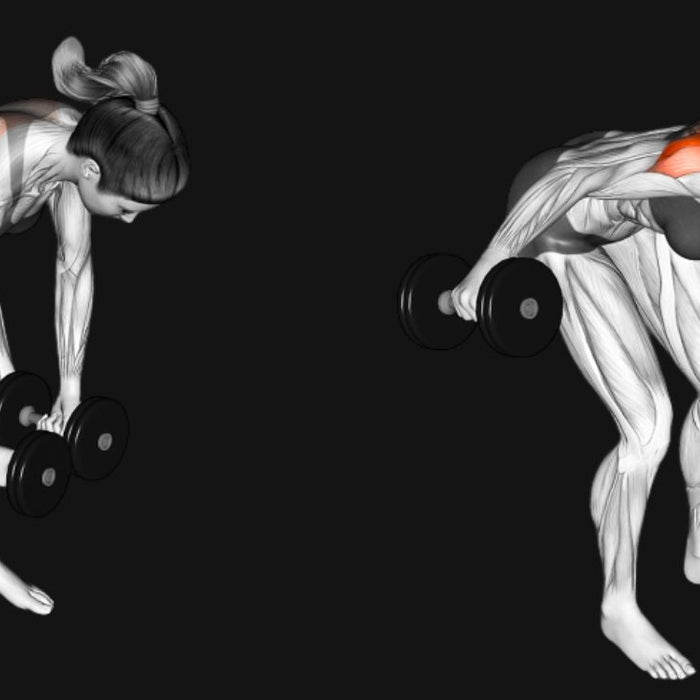 Dumbbell Rear Delt Fly_ Build Stronger, Balanced Shoulders