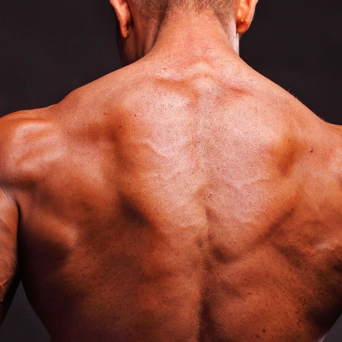 Dumbbell Chest Workout_ Best Exercises for Strength & Size