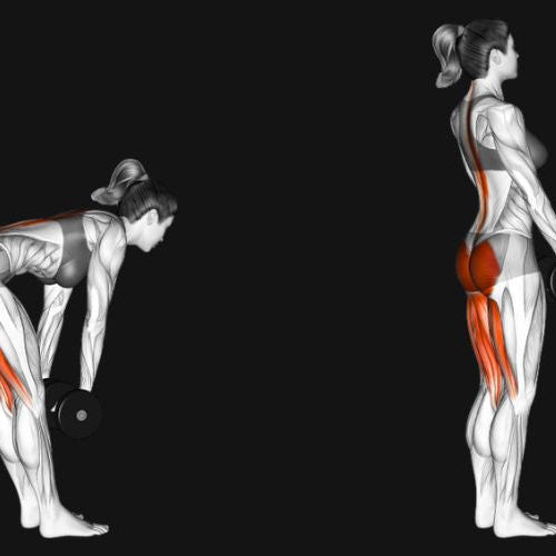 Dumbbell Stiff Leg Deadlift_ Strengthen Your Hamstrings and Posterior Chain
