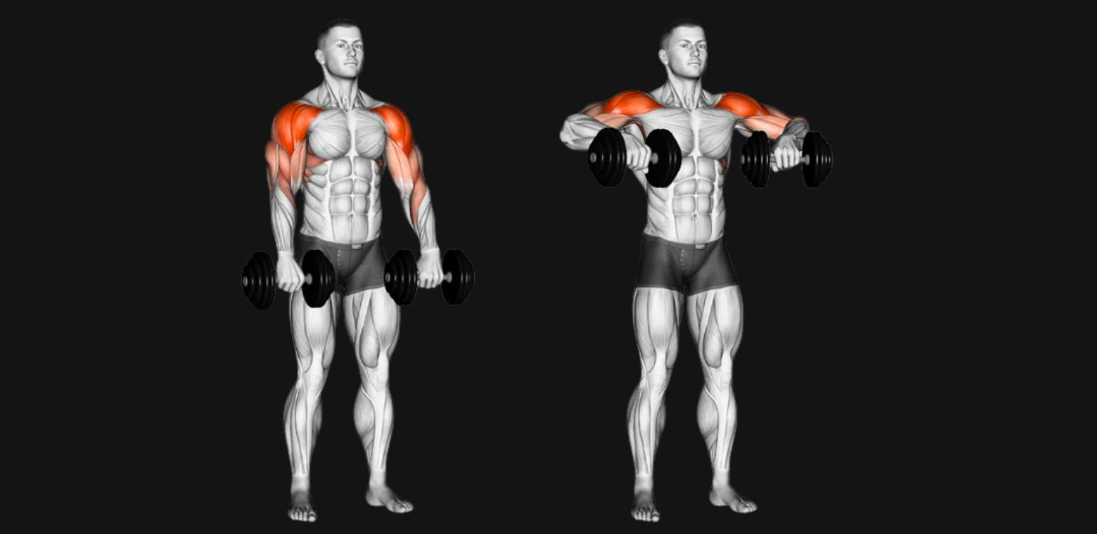 Dumbbell Upright Row: Build Shoulder & Trap Strength