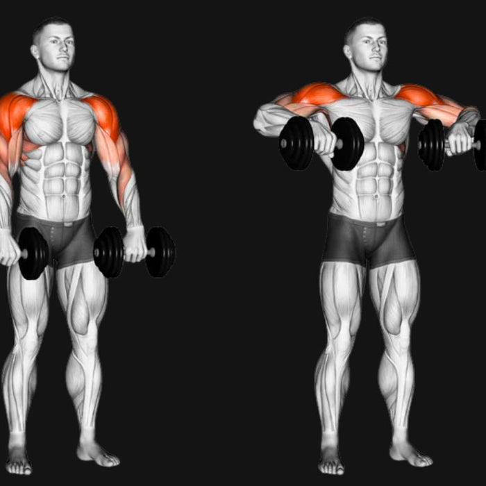 Dumbbell Upright Row_ Build Shoulder & Trap Strength Dumbbell Upright Row_ Build Shoulder & Trap Strength