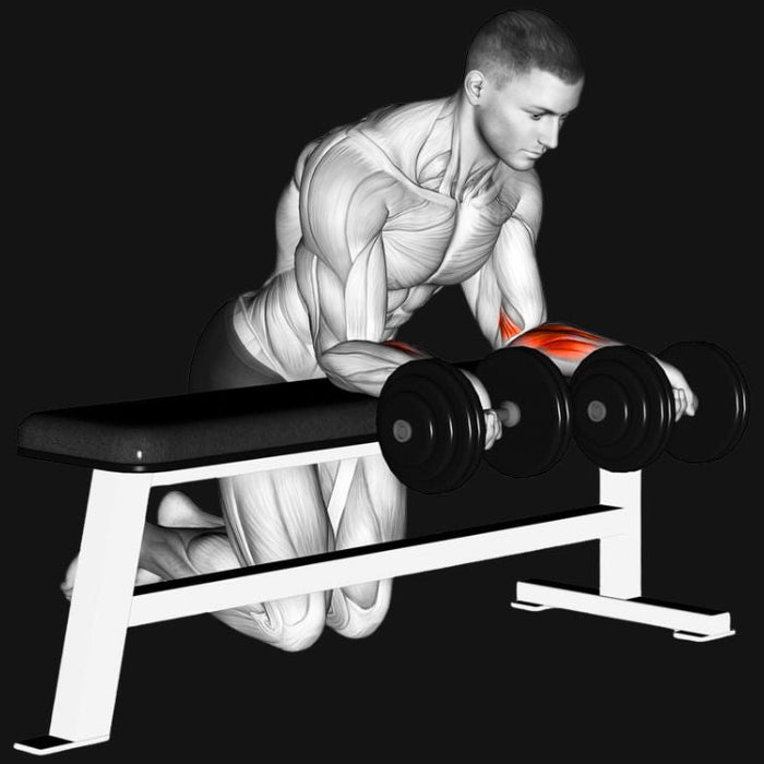 Dumbbell Wrist Curl_ Build Forearm Strength & Grip Power Dumbbell Wrist Curl_ Build Forearm Strength & Grip Power