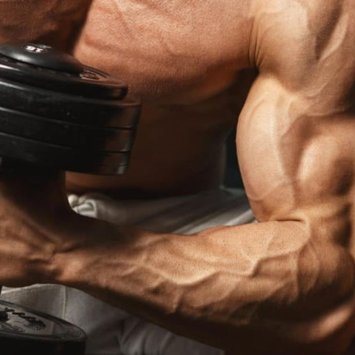 Forearm Workouts with Dumbbells_ Build Strength & Grip Power