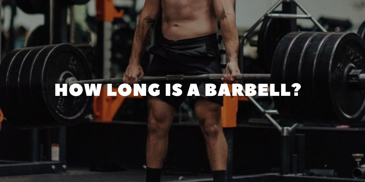 How Long Is a Barbell? Standard, Olympic & Specialty Bar Lengths Expla ...