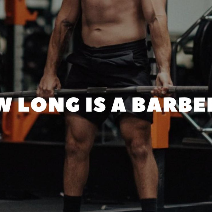HOW LONG IS a barbell_ Dumbbells Direct Guide