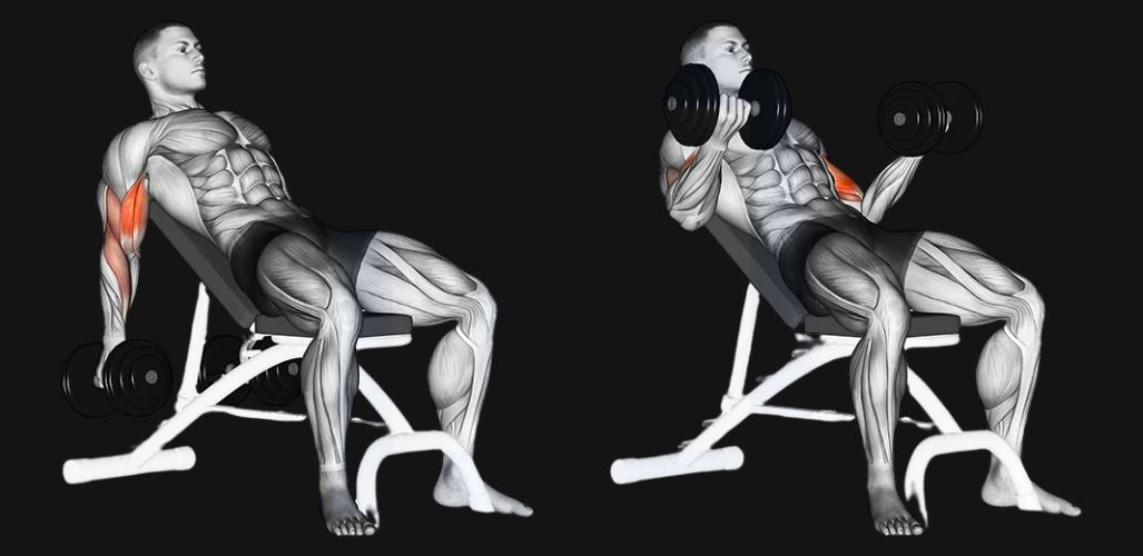 Incline Dumbbell Curl: Stretch, Squeeze & Build Bigger Biceps