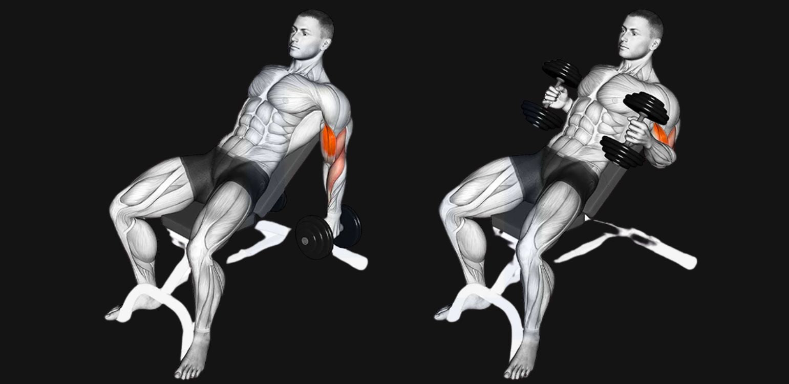 Incline Hammer Curls: Stretch, Strengthen & Build Thicker Arms