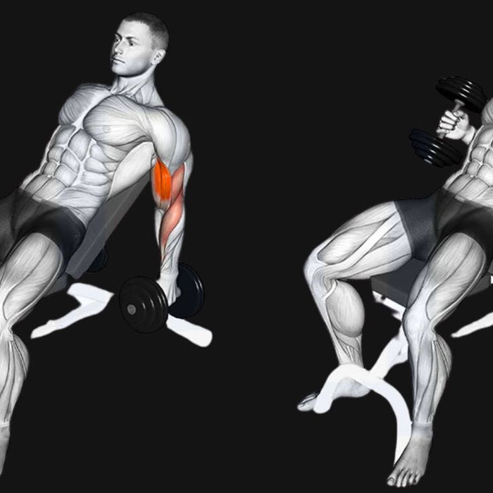 Incline Hammer Curls_ Stretch, Strengthen & Build Thicker Arms