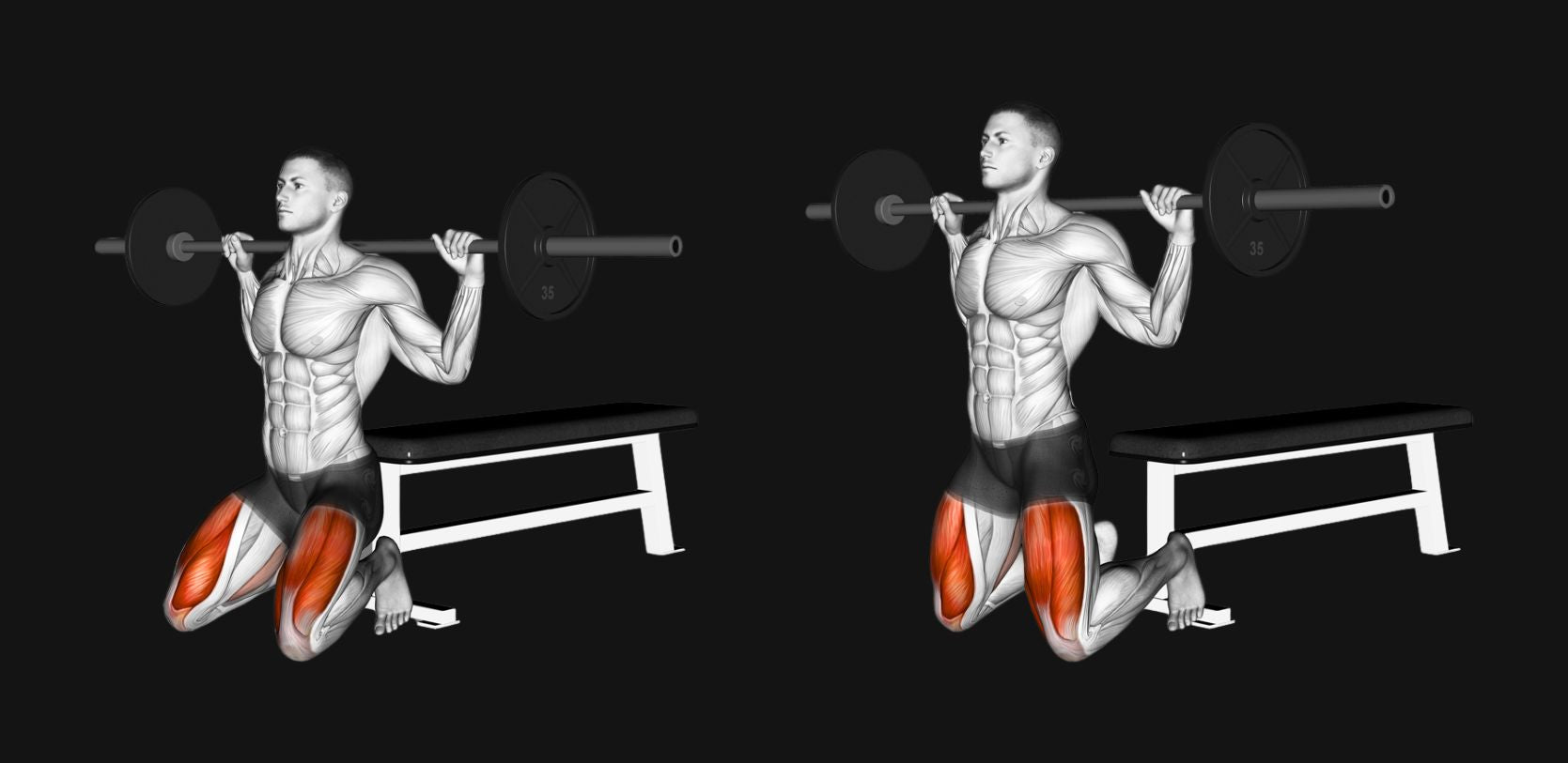 Kneeling Squat: Build Strong Glutes, Better Hip Drive & Low-Impact Lower-Body Strength
