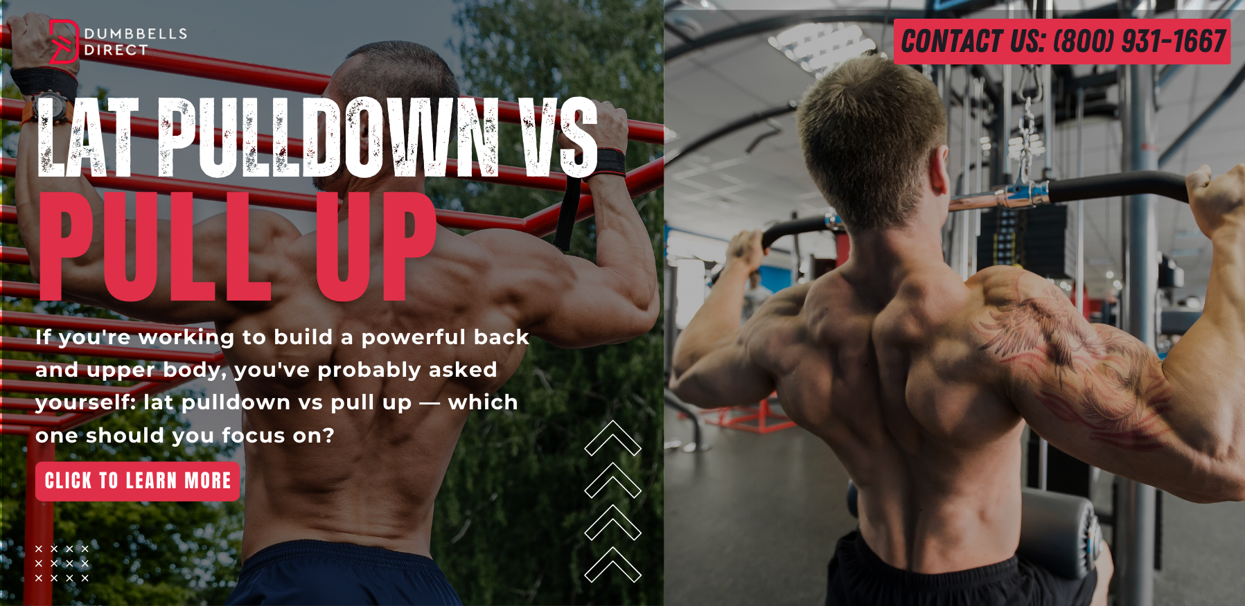 Lat Pulldown vs Pull Up: Which Builds a Stronger Back?
