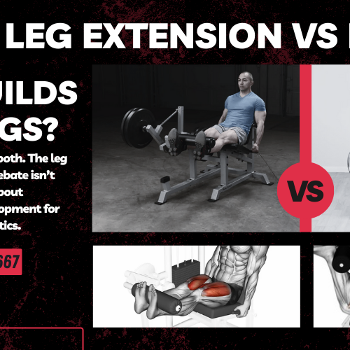 Leg Extension vs Leg Curl Which Builds Better Legs