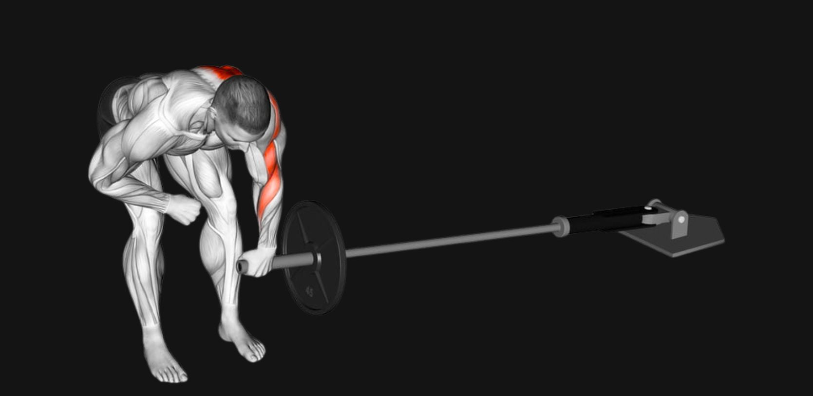 Meadows Row: Massive Lats, Grip Strength & Unilateral Back Power