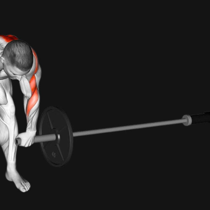 Meadows Row Exercise - Dumbbells Direct Guide