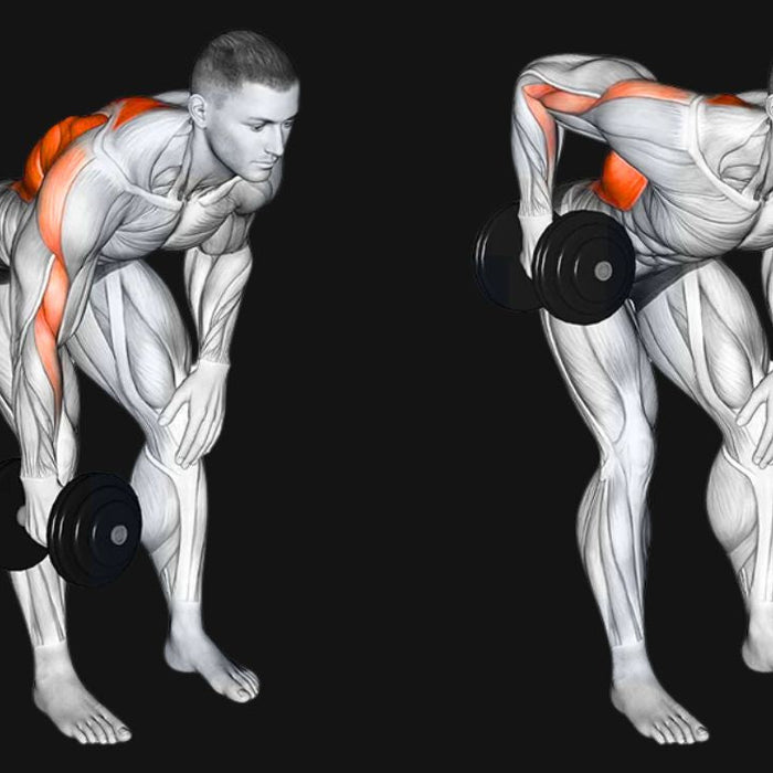 One-Arm Dumbbell Row_ Build Strength, Size & Balance