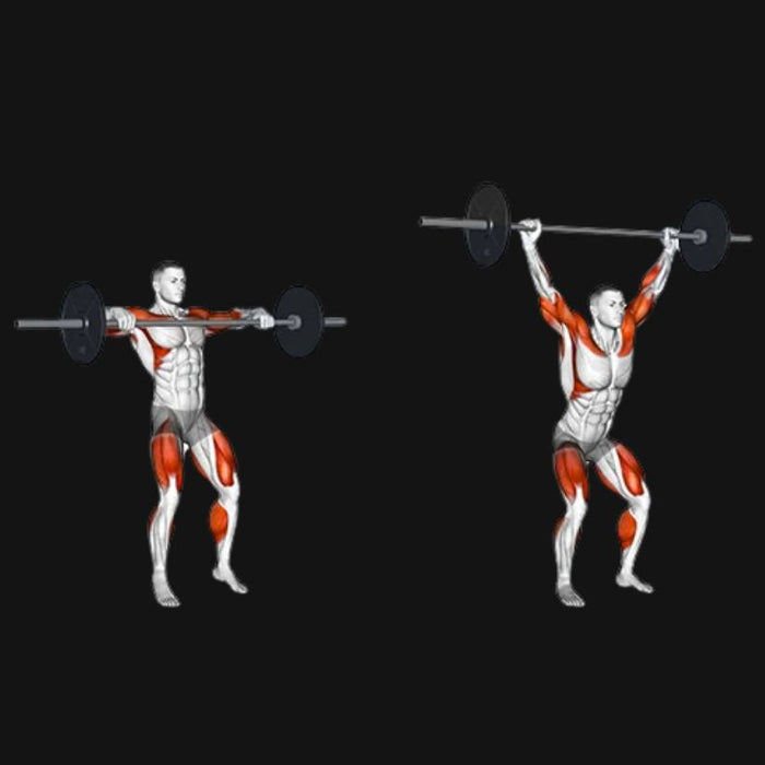 Power Snatch: Explosive Strength, Speed & Total-Body Power