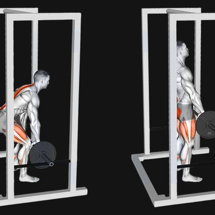Rack Pulls: Build Brutal Back Strength, Lockout Power & Posterior Chain Dominance