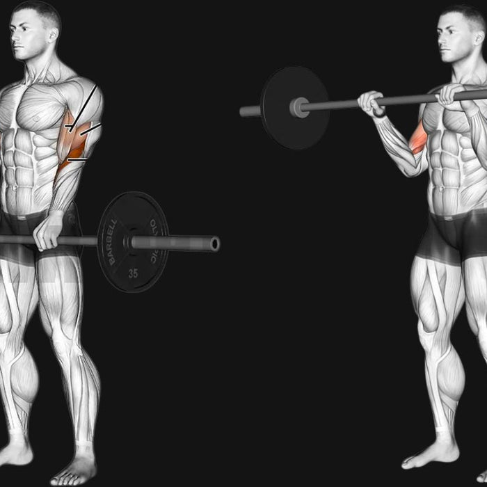 Reverse Barbell Curl: Stronger Forearms, Bigger Arms & Better Grip