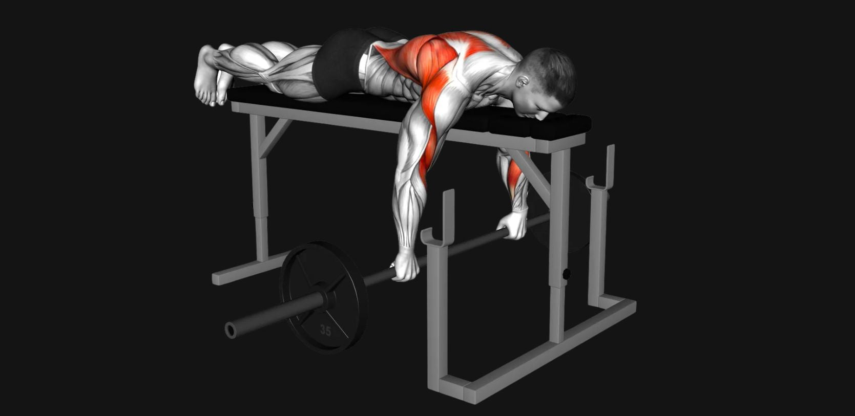 Seal Row: Serious Upper-Back Strength with Zero Lower-Back Stress