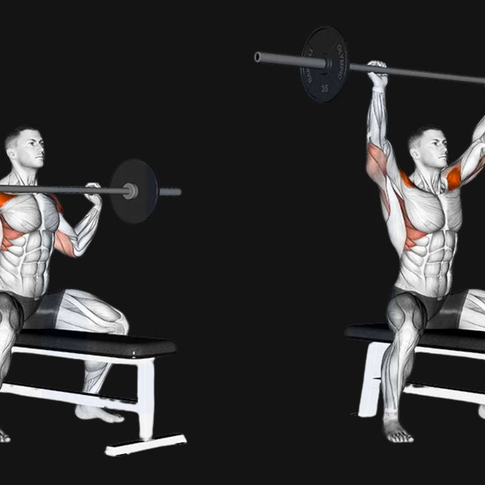 Seated Barbell Shoulder Press: Build Serious Delts with Stability & Power