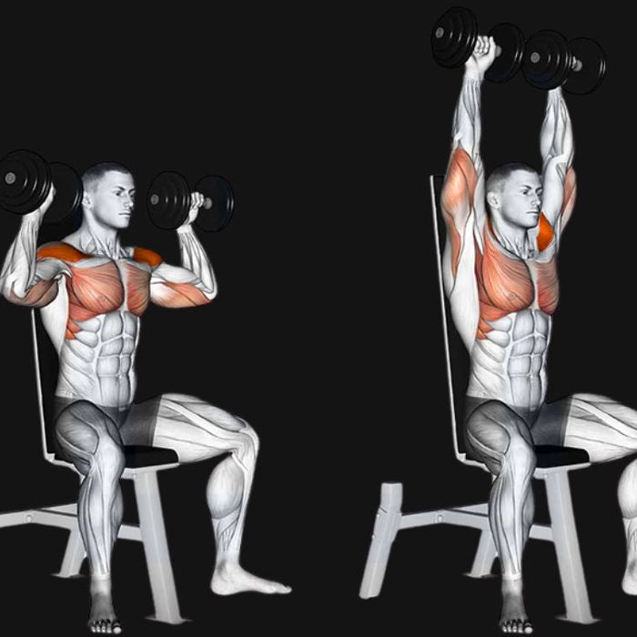 Seated Dumbbell Shoulder Press_ Build Powerful Shoulders with Dumbbells
