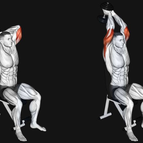 Seated Tricep Press_ Build Strong, Defined Arms with Dumbbells