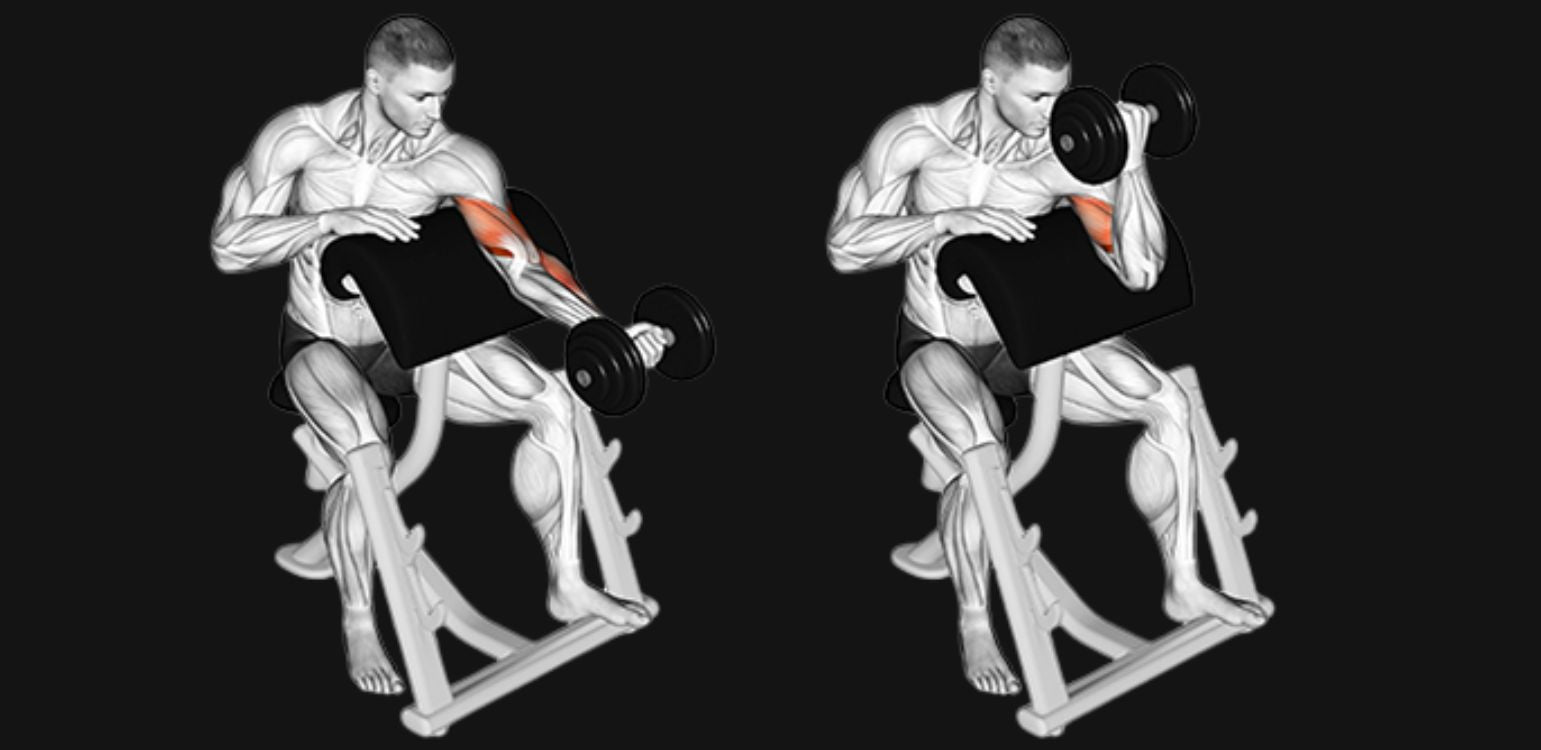 Single Arm Preacher Curl: Maximize Bicep Isolation & Symmetry