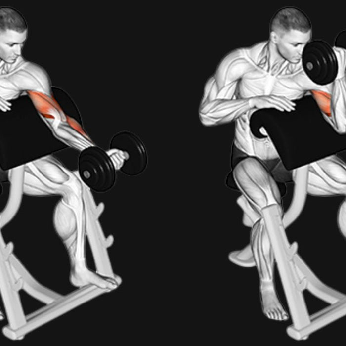Single Arm Preacher Curl_ Maximize Bicep Isolation & Symmetry