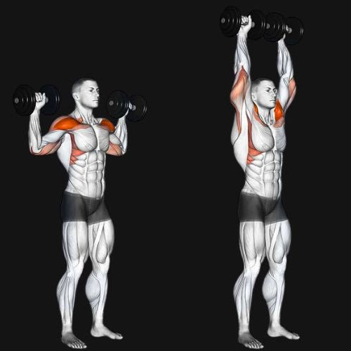 Standing Dumbbell Shoulder Press_ Build Strength, Size & Stability Overhead