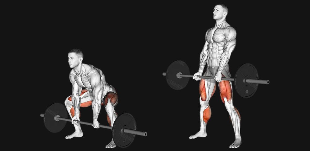 Sumo Deadlift: Build Explosive Hip Power, Stronger Glutes & Less Lower-Back Stress