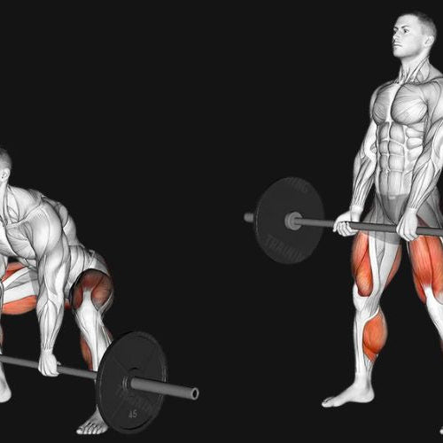 Sumo Deadlift: Build Explosive Hip Power, Stronger Glutes & Less Lower-Back Stress