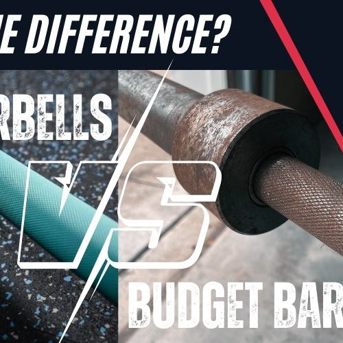 Troy Barbell vs. Budget Barbells