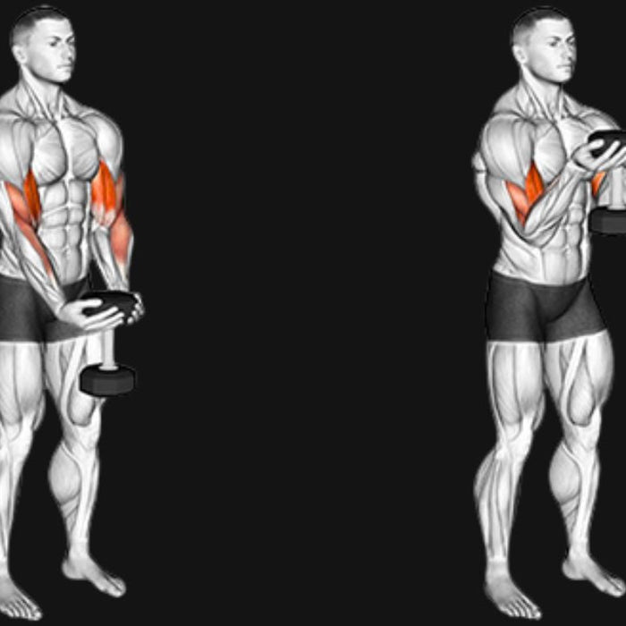 Waiter Curls_ Build Bigger Biceps & Master Peak Isolation with Dumbbells