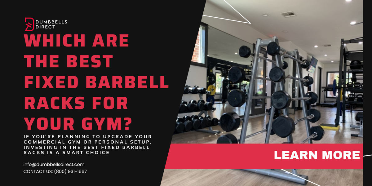 Which Are the Best Fixed Barbell Racks for Your Gym? Click to Find Out ...