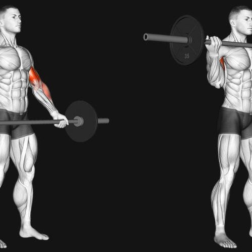 Wide Grip Barbell Curl: Build Thicker Biceps & Target the Inner Bicep Head