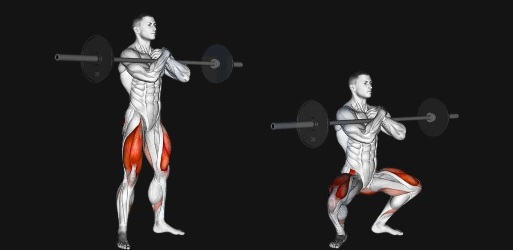Zercher Squat: Front-Loaded Strength, Core Stability & Real-World Power