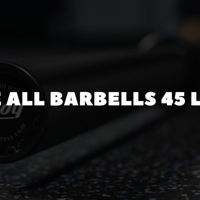 are all barbells 45 lbs_ Dumbbells Direct Guide