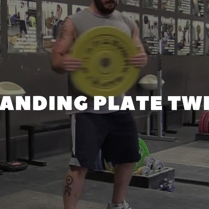 standing plate twist - Dumbbells Direct Guide