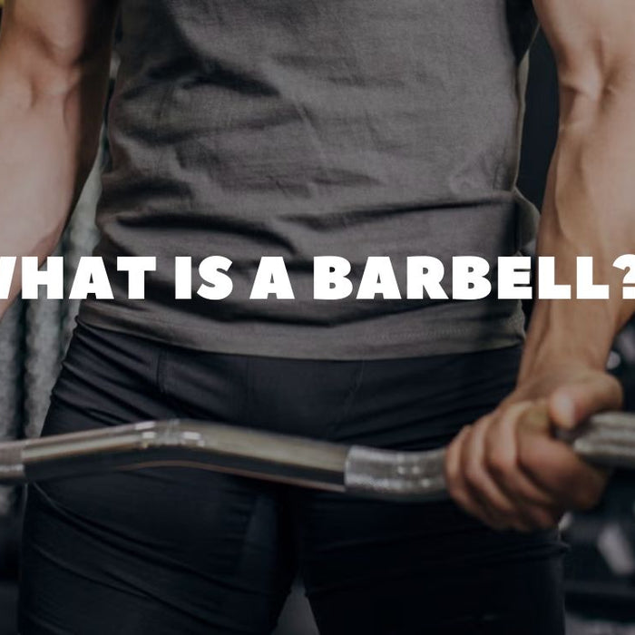 What Is a Barbell? The Ultimate Guide to Strength Training’s Most Important Tool