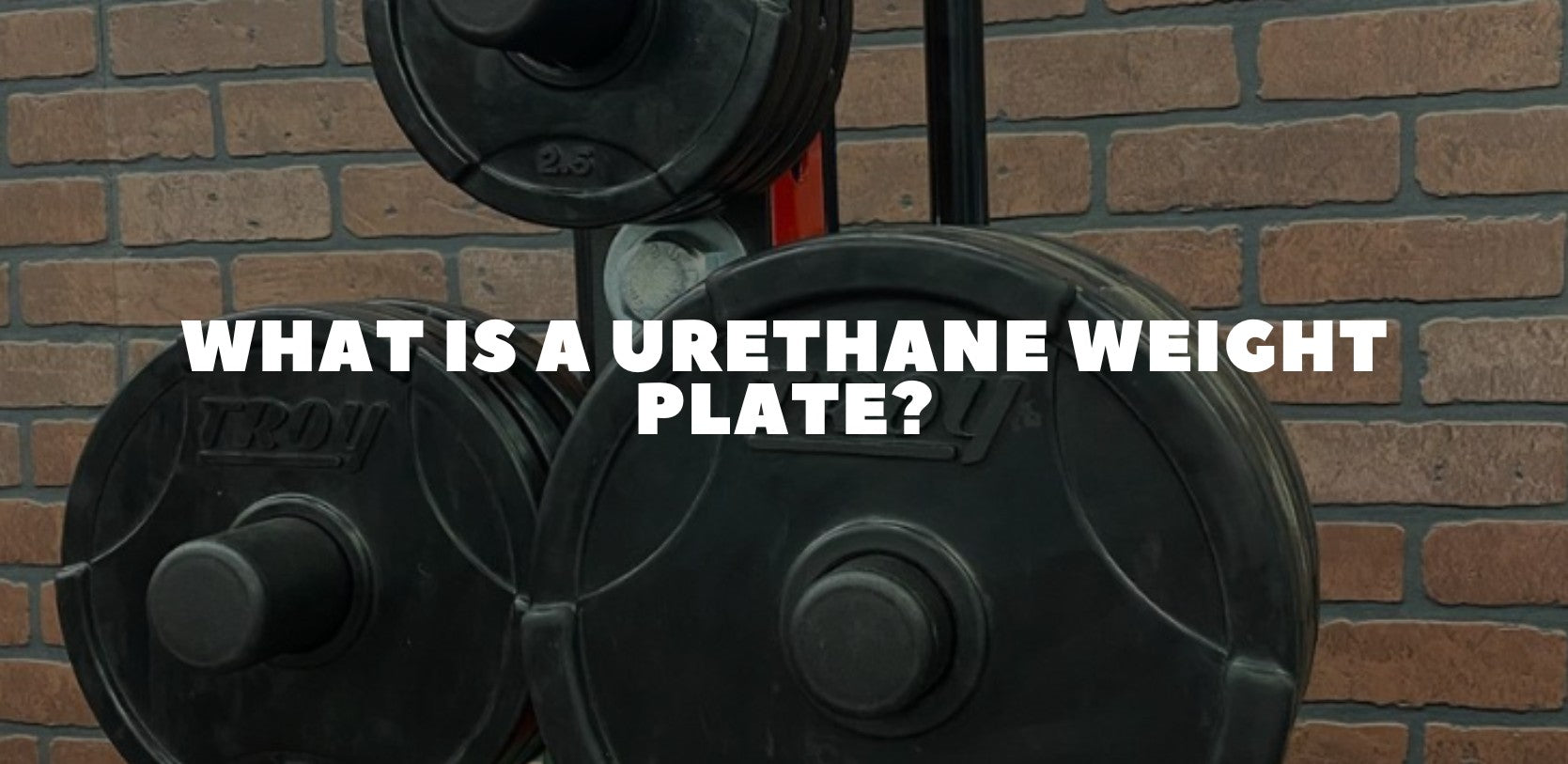 What Is a Urethane Weight Plate? Premium Strength Built to Last