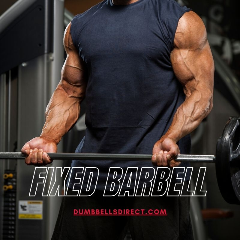 Fixed Barbells