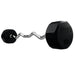 100 lb EZ Curl Fixed Rubber Barbell