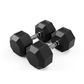 Troy 8-Sided Rubber Encased Dumbbell w/ Chrome Steel Contoured Handle | SD-R 50lb Pair